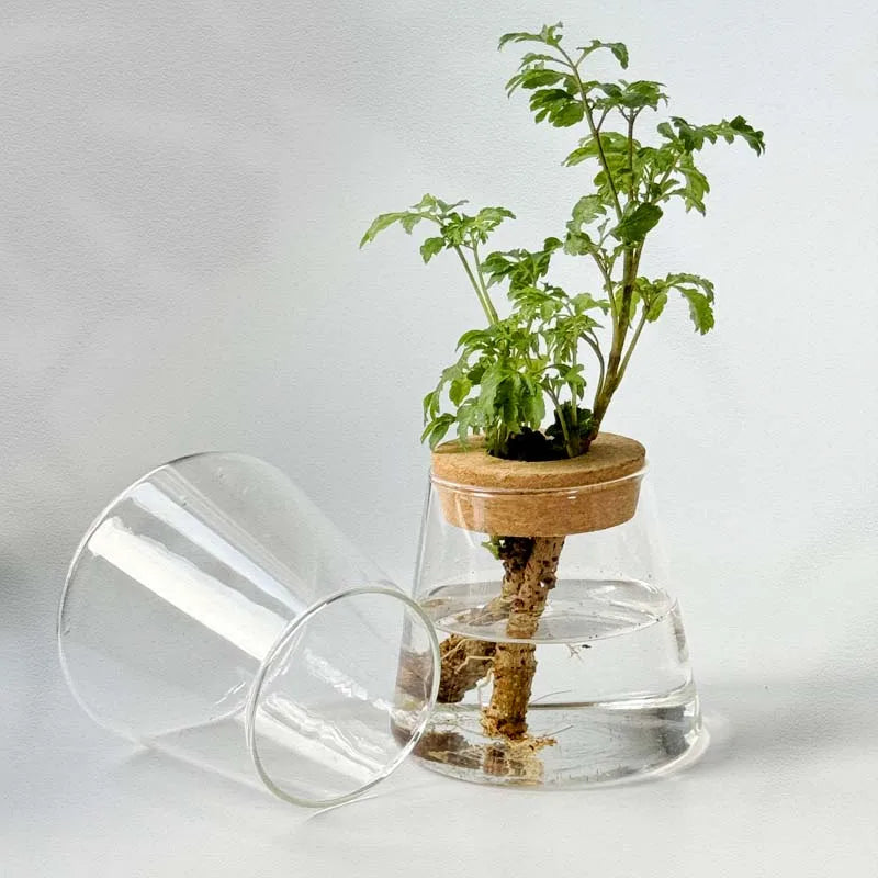 Charming Volcano-Inspired Glass Vase – Nordic Minimalist